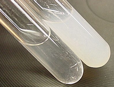 gümüş nitrat klorür test
